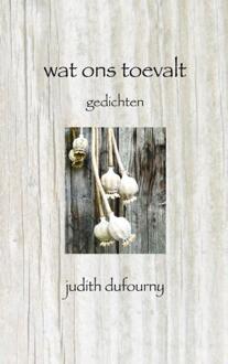 Wat ons toevalt - Boek Judith Dufourny (9402114599)
