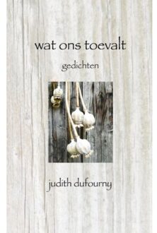 Wat ons toevalt - Boek Judith Dufourny (9402114599)