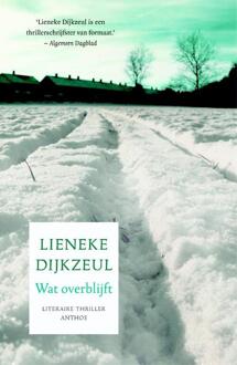 Wat overblijft - Boek Lieneke Dijkzeul (9041425039)