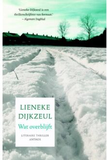 Wat overblijft - Boek Lieneke Dijkzeul (9041425039)