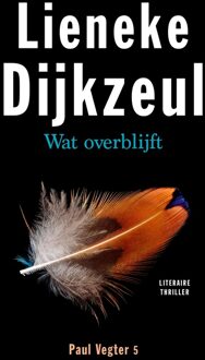 Wat overblijft - eBook Lieneke Dijkzeul (9041422935)