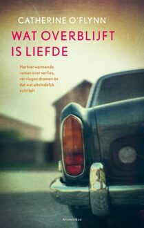 Wat overblijft is liefde - eBook Catherine O'Flynn (9047201868)