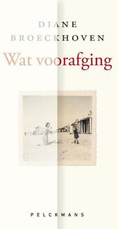 Wat voorafging - Boek Diane Broeckhoven (9460014119)