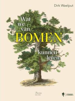 Wat we van bomen kunnen leren -  Dirk Waelput (ISBN: 9789464946529)