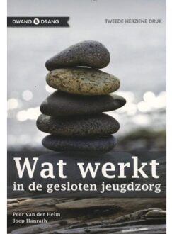 Wat werkt - Boek SWP (908850377X)