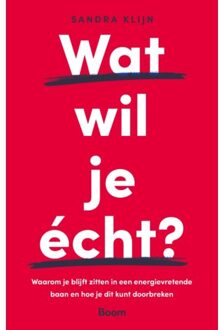 Wat Wil Je - Sandra Klijn