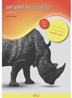Wat wordt projectsucces? - Boek René Hombergen (9082030845)