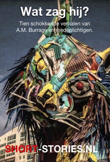 Wat zag hij? - A.M. Burrage, André Maurois, Anton Tsjechov, Eddy C. Bertin, Edward Bulwer-Lytton - ebook