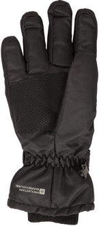 Waterdichte skihandschoenen heren (Zwart)