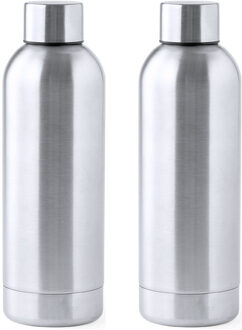 Waterfles/drinkfles - 2x - metallic zilver - met schroefdop - 800 ml - RVS