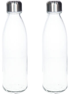 Waterfles/drinkfles - 2x - transparant - met RVS dop - 650 ml - glas - Sportfles - Bidon
