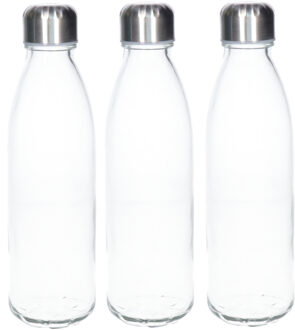 Waterfles/drinkfles - 3x - transparant - met RVS dop - 650 ml - glas - Sportfles - Bidon