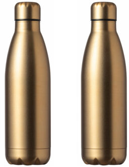 Waterfles / drinkfles met schroefdop - 2x - mat goud - 790 ml - RVS metaal
