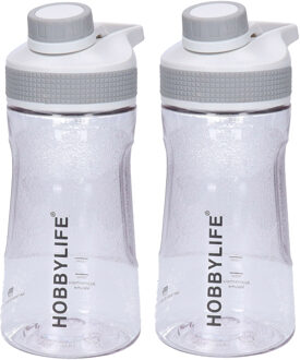 Waterfles / drinkfles / sportfles Aquamania - 2x - lichtgrijs - 530 ml - kunststof - bpa vrij