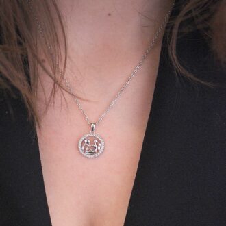 Waterman Zodiac Hangers - Zilver en Kristal - maat