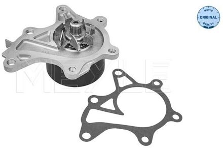 Waterpomp, motorkoeling 30132200025