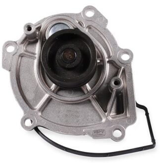 Waterpomp P1724