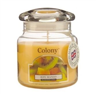 Wax Lyrical Candle Jar Ripe Mango