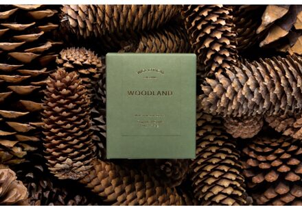 Wax Lyrical Lakes Collection Geurkaars Woodland