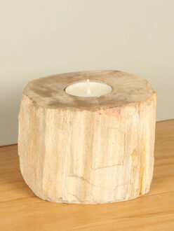 Waxinelichtje versteend hout nr. 20