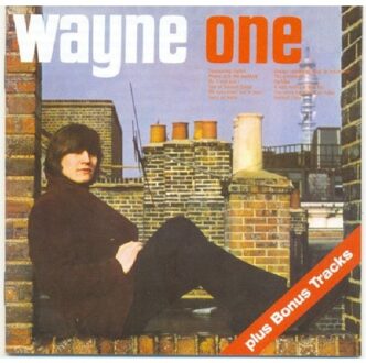 Wayne One