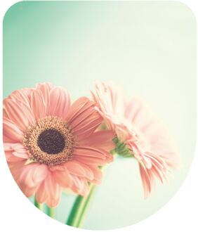 Wc-bril - Duroplast - D-vorm - Softclose - Verstelbaar - Quick Release - Met Bloemenprint