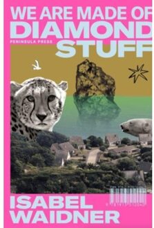 We Are Made Of Diamond Stuff - Isabel Waidner