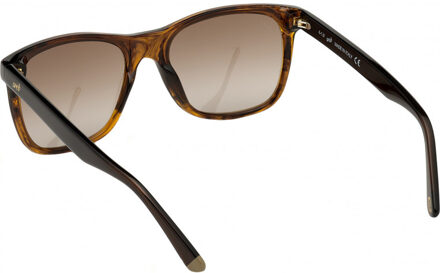 WE0279-5652G WE0279 56 5652G Zonnebril - maat Bruin