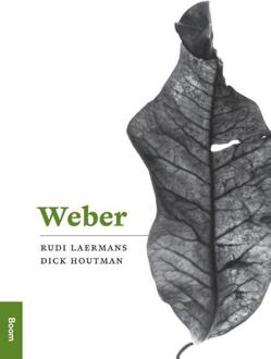Weber - Boek Rudi Laermans (9461050186)