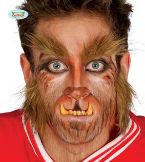 Weerwolf baard en wenkbrauwen voor mannen - Verkleedattribuut