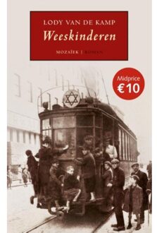 Weeskinderen - Boek Lody van de Kamp (9023993497)