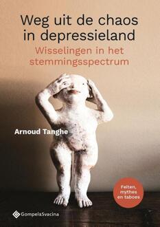 Weg Uit De Chaos In Depressieland - Arnoud Tanghe