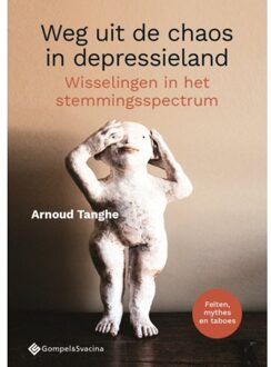 Weg Uit De Chaos In Depressieland - Arnoud Tanghe