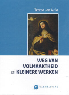 Weg van volmaaktheid en kleinere werken - Boek Teresa van Avila (9076671915)