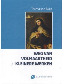 Weg van volmaaktheid en kleinere werken - Boek Teresa van Avila (9076671915)