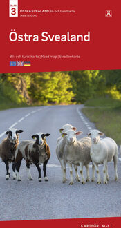 Wegenkaart - landkaart 3 Turistkarta Östra Svealand Bil - Zweden Zuidoost | Norstedts
