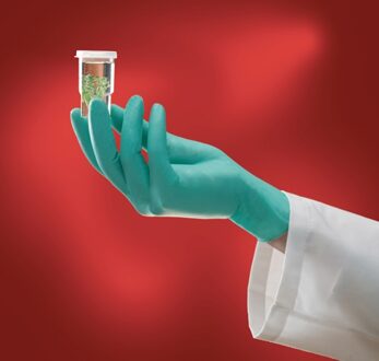 Wegwerphandschoen | maat 6,5-7 lichtgroen | neopreen | EN 374 PSA-categorie III | 100 stuks - 25-101 25-101