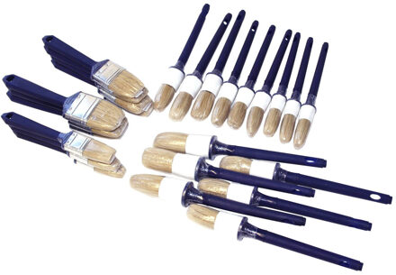 Wegwerpkwasten set - 25-delig - kwasten/penselen - voor waterverf/acrylverf Multi