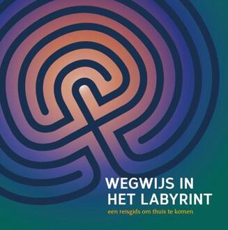 Wegwijs in het labyrint - (ISBN:9789081292184)