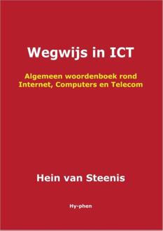 Wegwijs in ICT - Boek Hein van Steenis (9059405161)