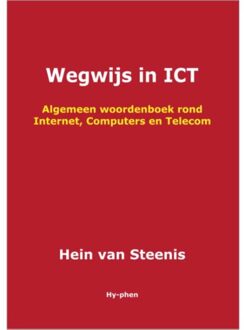Wegwijs in ICT - Boek Hein van Steenis (9059405161)
