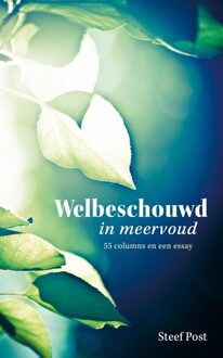 Welbeschouwd in meervoud - Steef Post - ebook