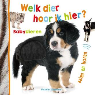 Welk Dier Hoor Ik Hier? - Babydieren - Babydieren