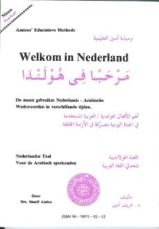 Welkom in nederland meest gebr. werkwoord - Boek Amien (907097116X)