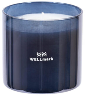 WELLmark Brave collection Geurkaars - medium - metallic grey 8720938454288 Grey metallic