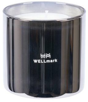 WELLmark Brave collection Geurkaars - medium - metallic silver 8720938454271 Silver metallic