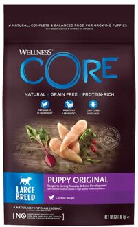 Wellness Core Grain Free Large Breed Puppy Kip - Hondenvoer - 10 kg