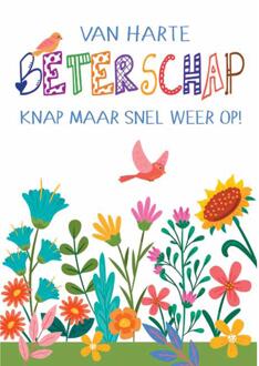 Wenskaarten Beterschap pak a 10 stuks multi