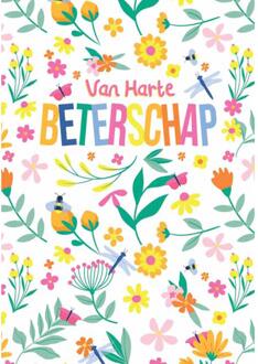 Wenskaarten Beterschap pak a 10 stuks multi
