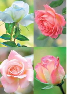 Wenskaarten blanco bloem pak a 10 stuks multi